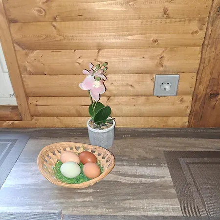 Apartment Ferienwohnung Anna *