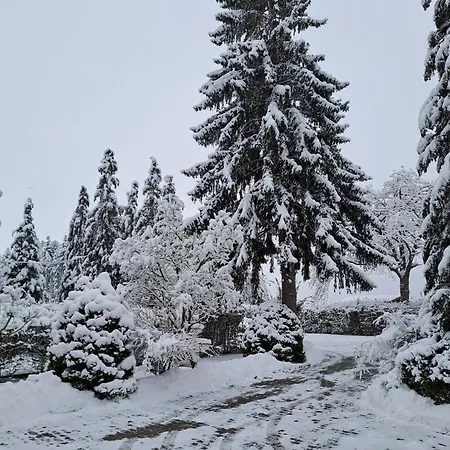 Ferienwohnung Anna شرامبرغ